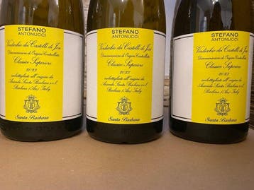 2024 Santa Barbara, Verdicchio dei Castelli di Jesi Classico