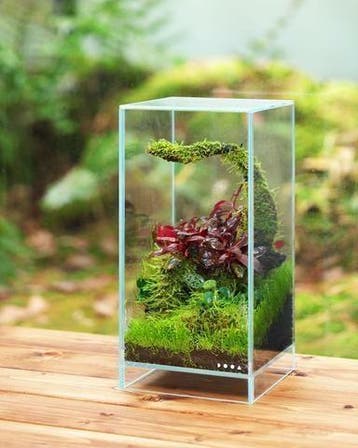 DOOA Neo Glass AIR, Dieren en Toebehoren, Verzenden, Nieuw