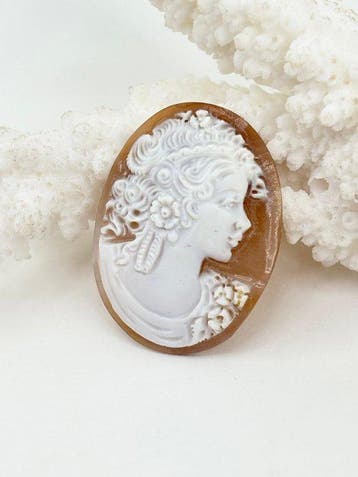 Zonder reserveprijs Cassis madagascariensis - Cameo -