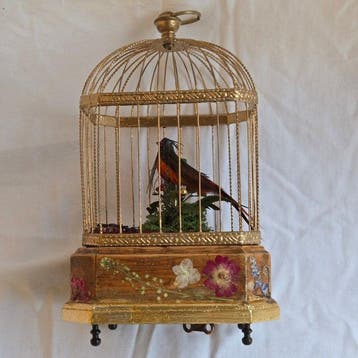 Automate doiseaux chanteurs - 1940-1950 - Pièce unique,