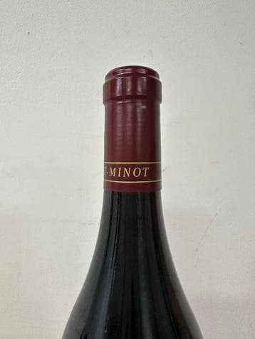 2004 Domaine Christophe Perrot-Minot, La Richemone, Nieuw