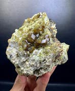 Demantoïde granaatkristallen - bos Mineralencollectie -
