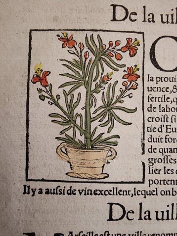 Sebastian Münster (1489–1552) - Cosmographie Universelle -