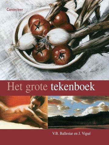 Grote Aquarelboek - Vigué, Verzenden