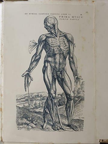 Andreas Vesalius - De humani corporis fabrica - 1944