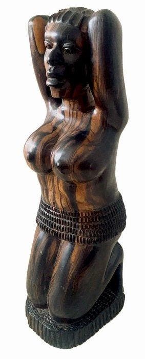 Beeldhouwkunst - Macassar-ebenhout uit het Massief -