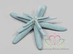 Zeester Starfish Lichtblauw ca. 5-10 cm Set van 3 stuks, Nieuw