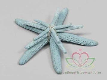 Zeester Starfish Lichtblauw ca. 5-10 cm Set van 3 stuks, Nieuw