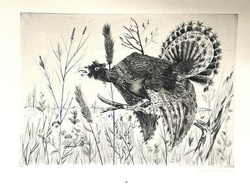 Yves Grandemange (1928–1952) - Oiseau dans un champ 1950