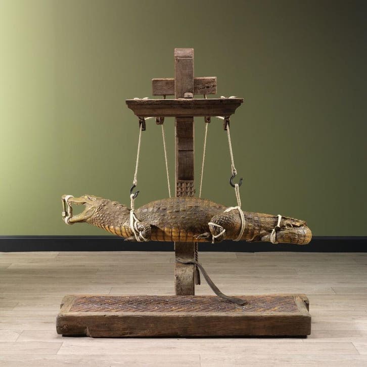 Krokodil Antiek Taxidermie Opgezette Dieren By Max, Verzamelen, Dierenverzamelingen, Opgezet dier, Nieuw, Reptiel of Amfibie, Ophalen of Verzenden