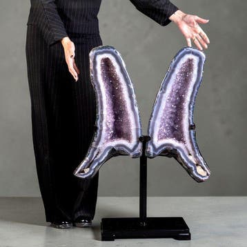 Diepviolette amethistdruse - amethistvlinder - Symmetrisch