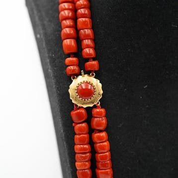 Chaîne - 14 carats Or jaune Corail rouge