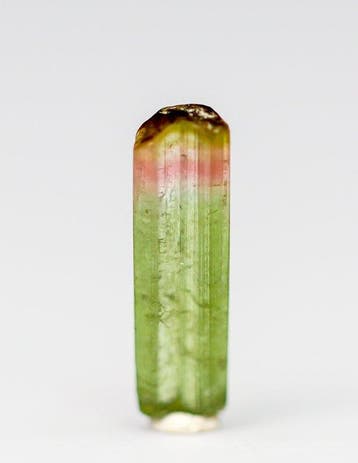 DR Congo Tourmaline Juweel • 1,10 ct • Intense Groen met