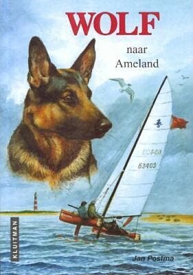 Wolf naar Ameland / Wolf 9789020634181 Jan Postma, Boeken, Kinderboeken | Jeugd | 10 tot 12 jaar, Zo goed als nieuw, Verzenden