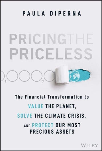 Pricing the Priceless 9781119913801 Paula Diperna, Verzenden, Zo goed als nieuw, Paula Diperna