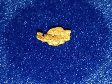 Zeldzaam juweel - gouden nugget - Lapland Goud nugget -
