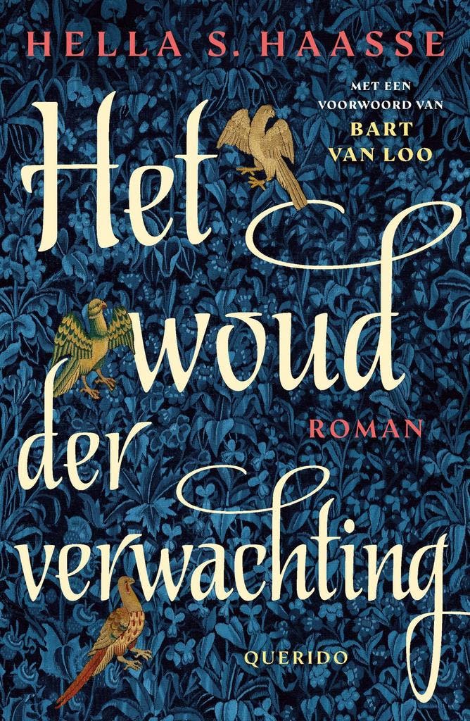 Het woud der verwachting 9789021498607 Hella S. Haasse, Livres, Romans, Envoi