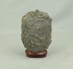 Steen - Suiseki  Ukaigawa Stone 1,1 kg met houten, Antiek en Kunst