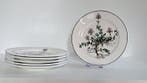 Villeroy & Boch - Ontbijtbord (6) - Botanica -, Antiek en Kunst