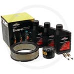 Briggs & Stratton Onderhoudskit Vanguard V-Twin 14-20 pk, Ophalen of Verzenden