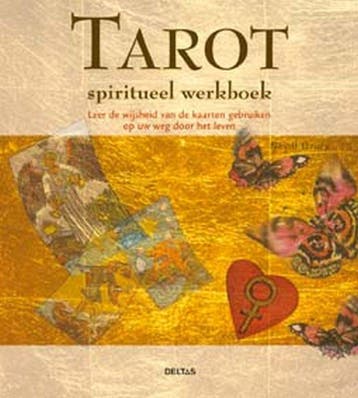 Spiritueel werkboek - Tarot 9789044708479 Nevill Drury, Boeken, Esoterie en Spiritualiteit, Verzenden, Zo goed als nieuw, Nevill Drury
