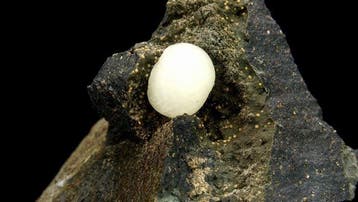 Calciet op basalt - Curebourse, Cantal vulkanen, Auvergne,