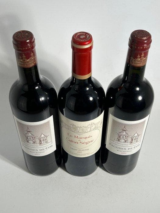 2016 x2 Pagodes de Cos, 2nd wine of Château Cos dEstournel, Verzamelen, Wijnen