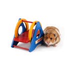 Knaagdieren Schommel Kleurrijk Hamster Gerbil Muis Dierenspe, Verzenden