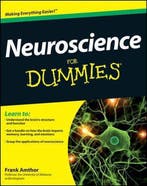 Neuroscience For Dummies 9781118086865 Frank Amthor, Verzenden, Gelezen, Frank Amthor