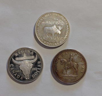 Canada. Elizabeth II. 1 Dollar 1973-1985 (Lot of 3 coins)